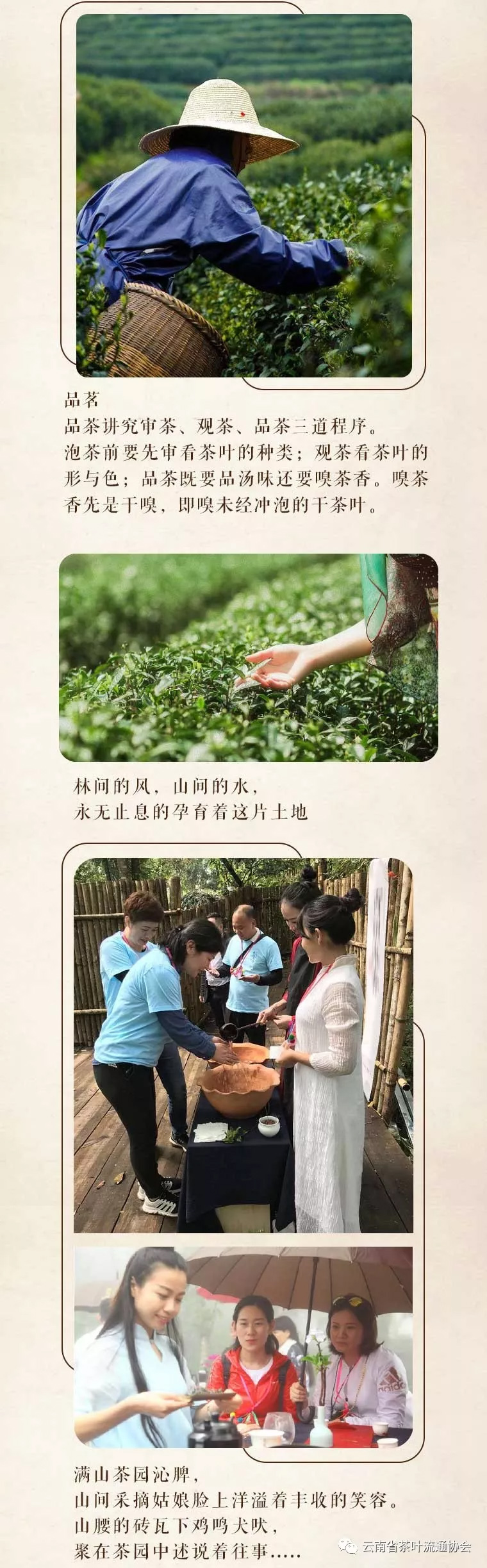 微信图片_20181119105414.jpg