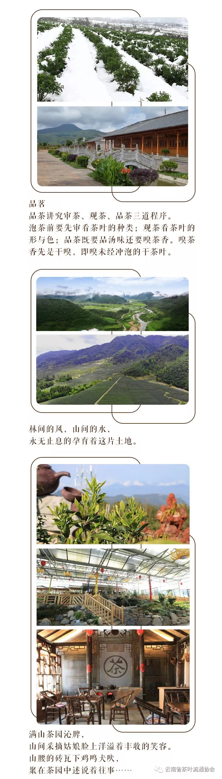 微信图片_20181119105357.jpg