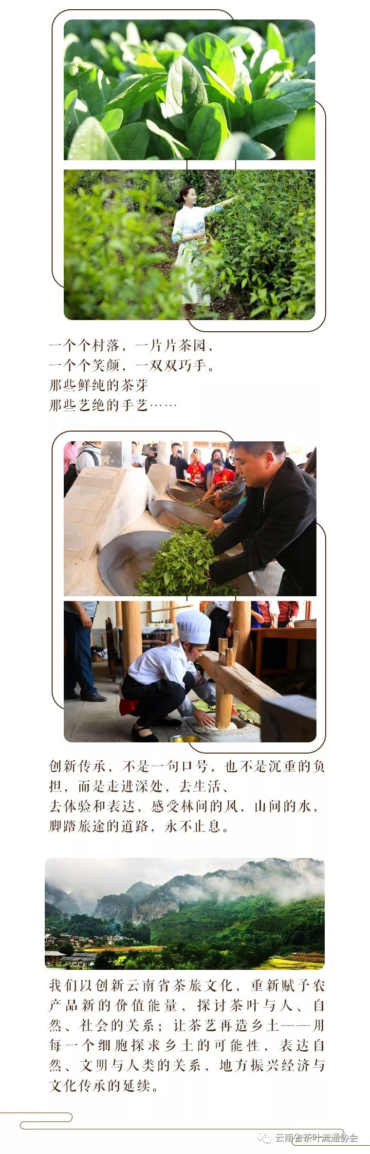 微信图片_20181119105359.jpg