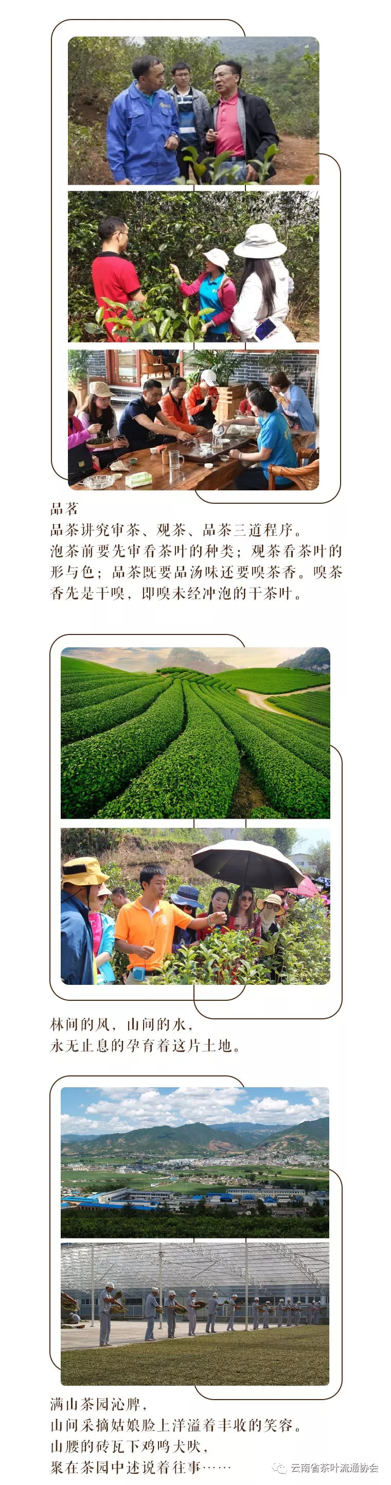 微信图片_20181119105339.jpg