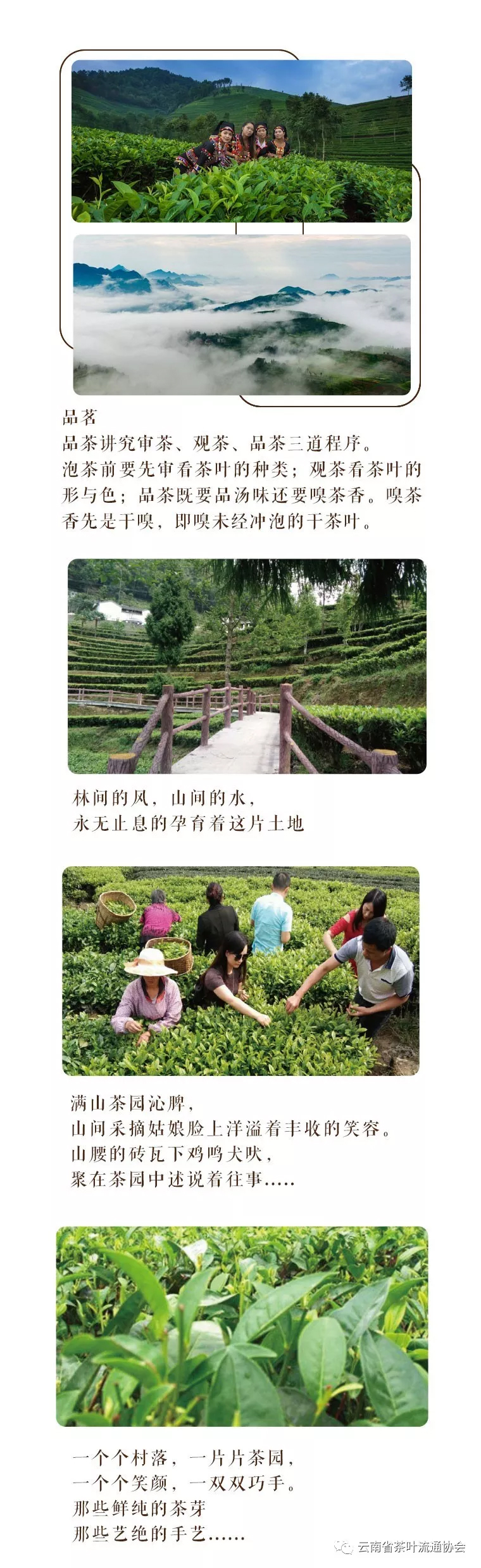 微信图片_20181119105323.jpg