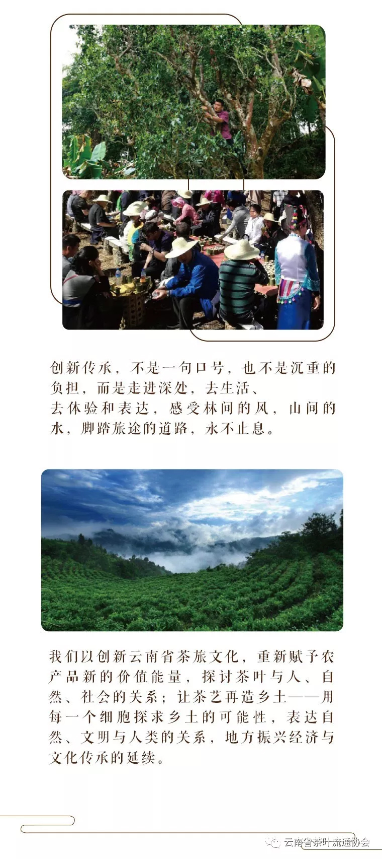 微信图片_20181119105326.jpg